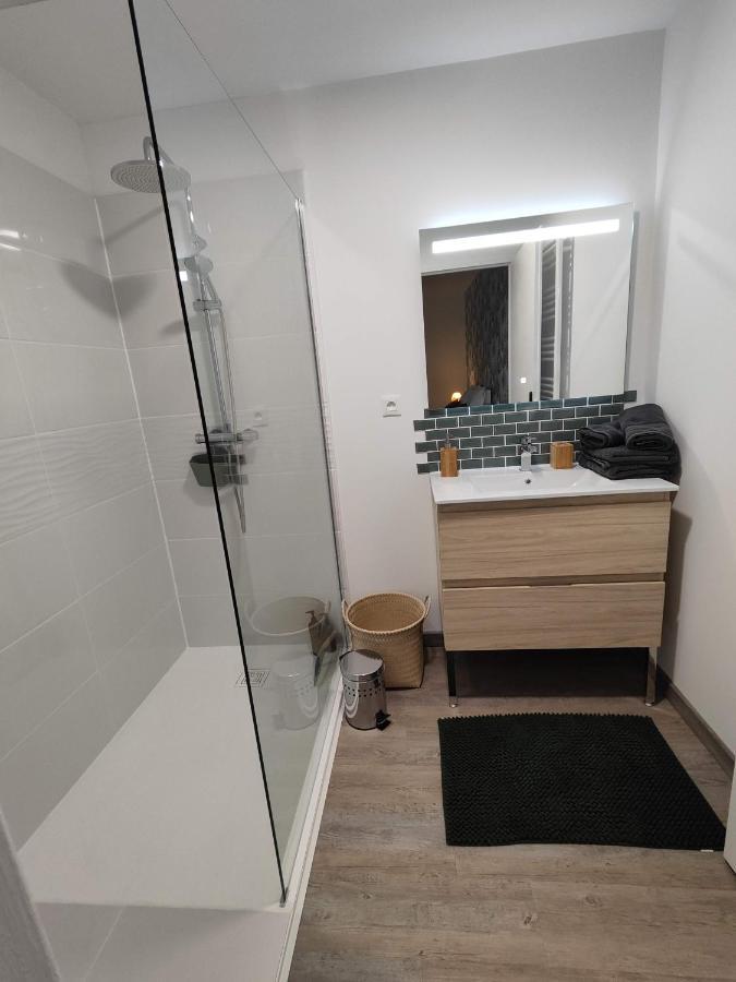 O Loft - 3 Chambres Avec 3 Salles De Bains - Parking - Climatisation 알비 외부 사진