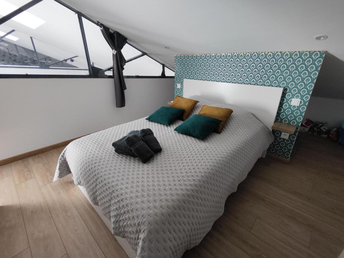 O Loft - 3 Chambres Avec 3 Salles De Bains - Parking - Climatisation 알비 외부 사진