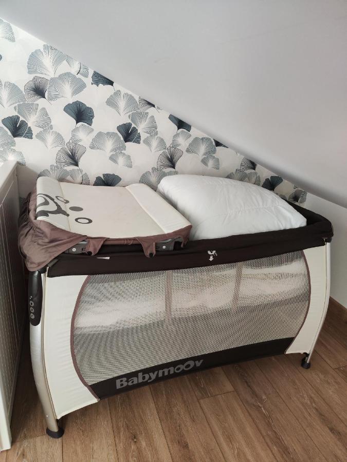 O Loft - 3 Chambres Avec 3 Salles De Bains - Parking - Climatisation 알비 외부 사진